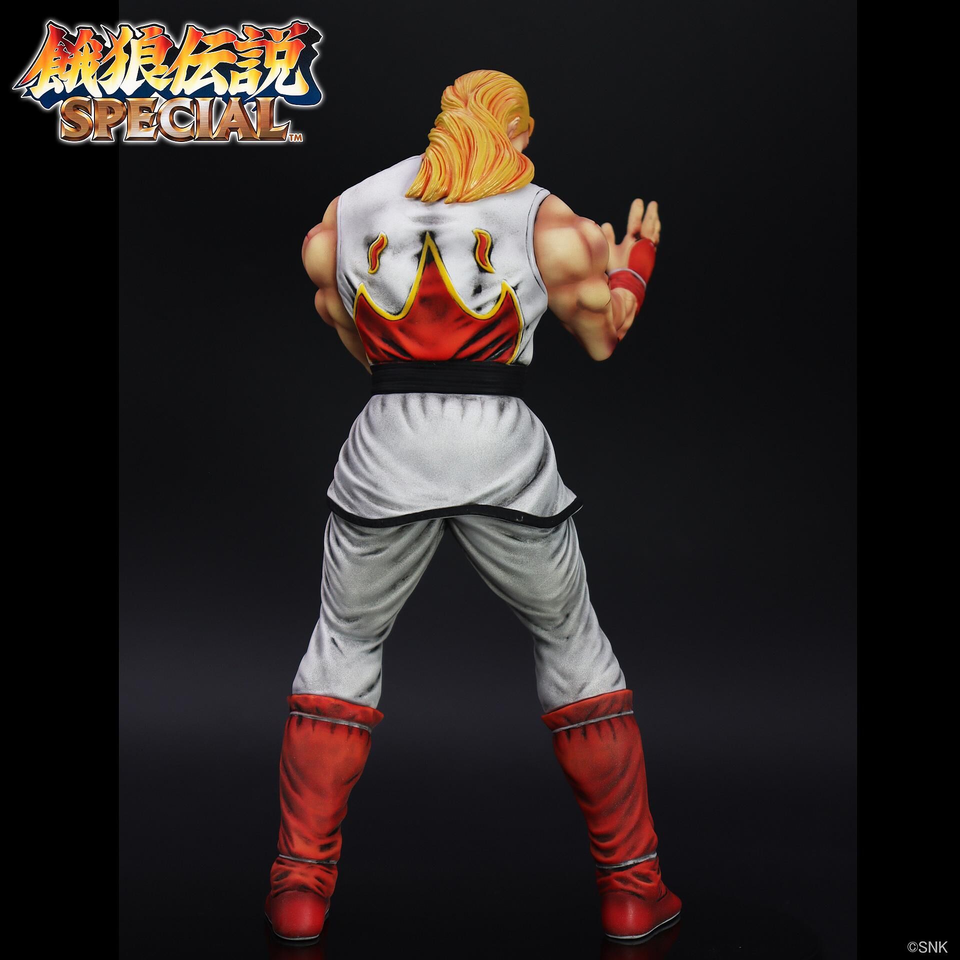 Garou Densetsu Special - Andy Bogard - The King of Collectors'24 - HG Damage Ver. (Studio24) photo 8