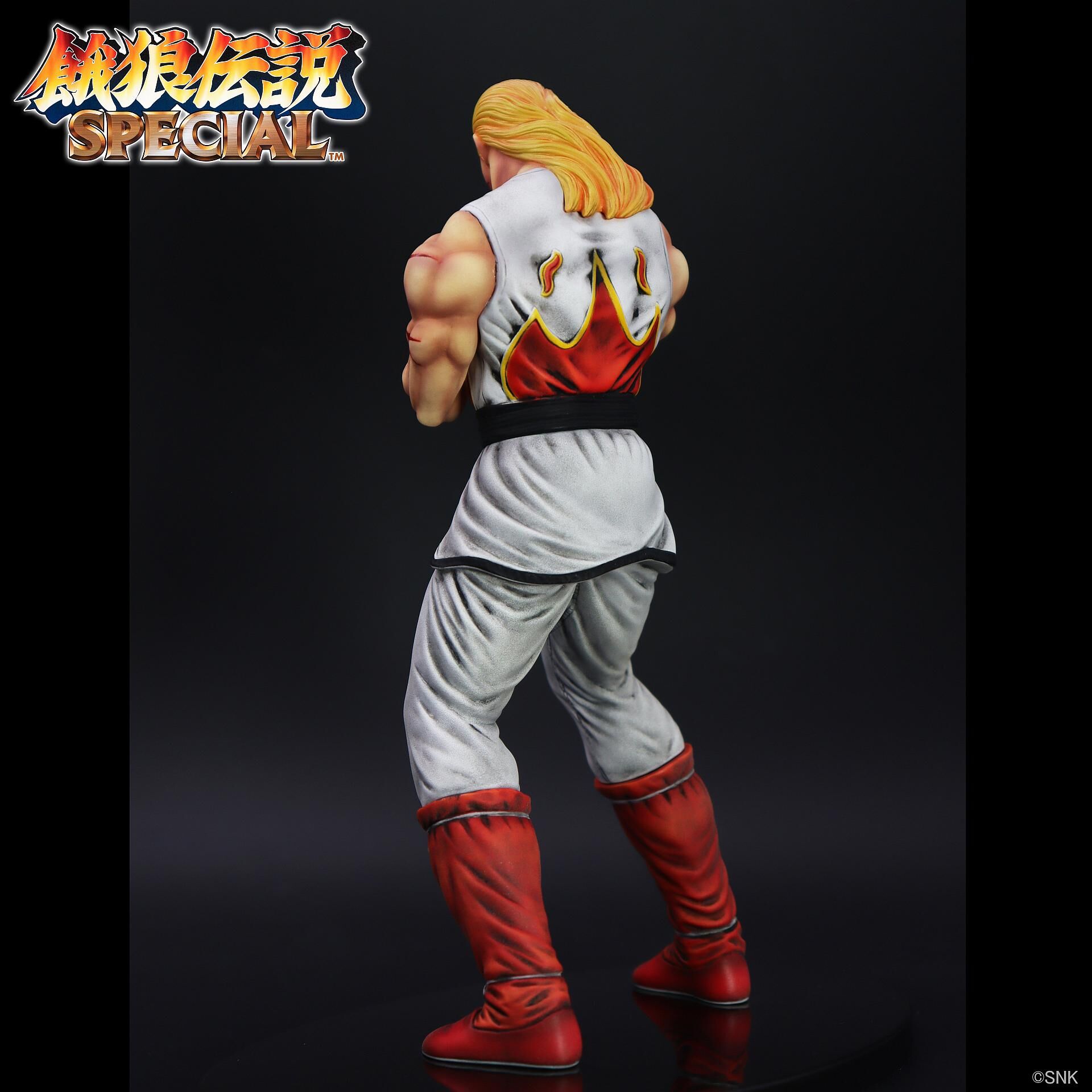 Garou Densetsu Special - Andy Bogard - The King of Collectors'24 - HG Damage Ver. (Studio24) photo 9