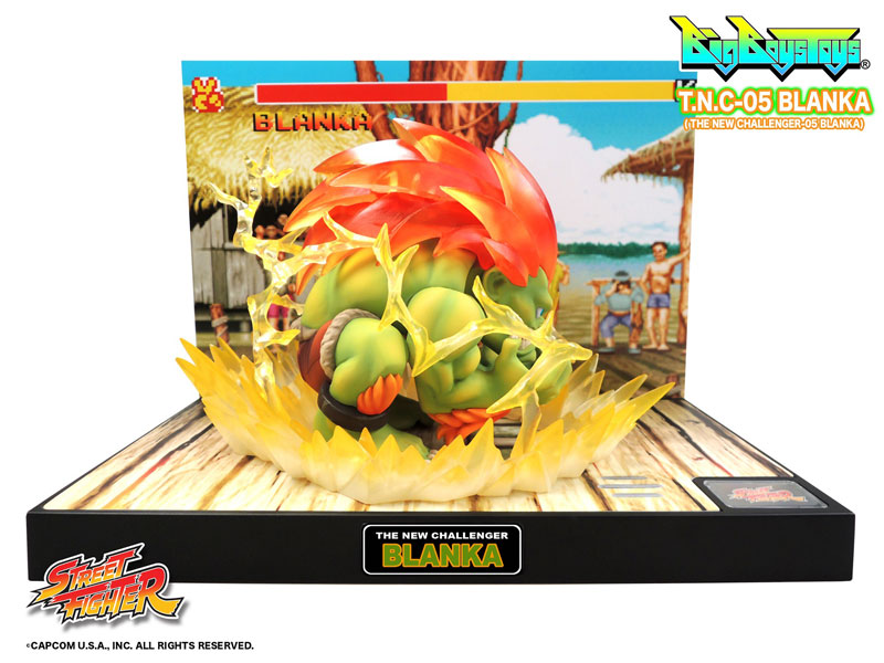 Street Fighter - Blanka - T.N.C (05) (Big Boys Toys) photo 2