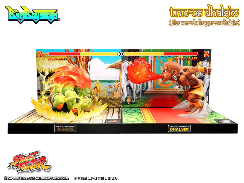 Street Fighter - Blanka - T.N.C (05) (Big Boys Toys) photo 9