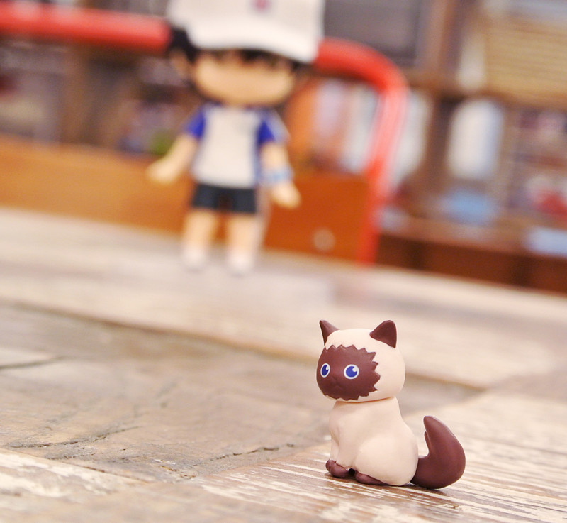 Shin Tennis no Oujisama - Echizen Ryoma - Karupin - Nendoroid (#641) (Orange Rouge) photo 21