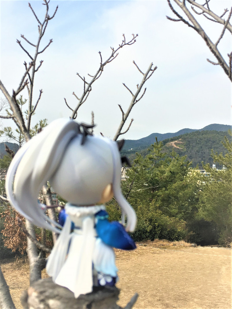 Thunderbolt Fantasy Tourikenyuuki - Rin Setsu A - Nendoroid  (#675) (Good Smile Company) photo 4