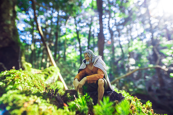 One Piece - Silvers Rayleigh - Creator×Creator (Banpresto) photo 4