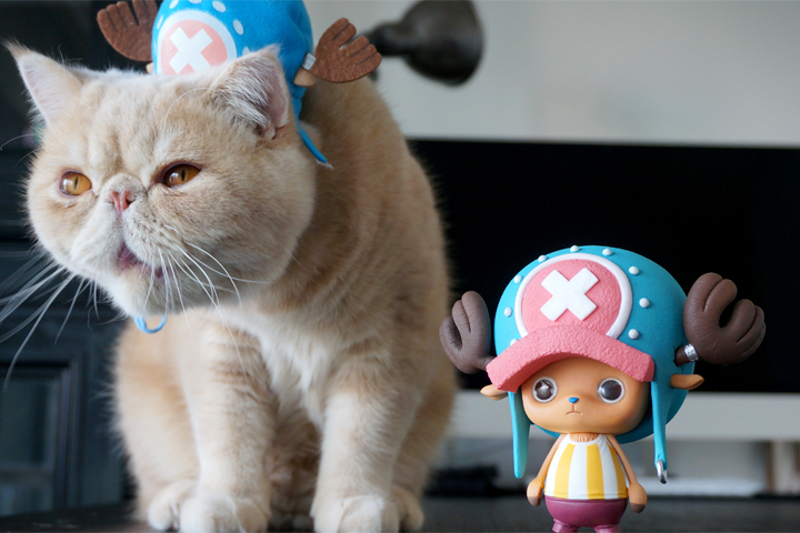 One Piece - Tony Tony Chopper - Creator×Creator (Banpresto) photo 3
