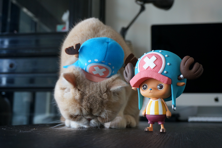 One Piece - Tony Tony Chopper - Creator×Creator (Banpresto) photo 4
