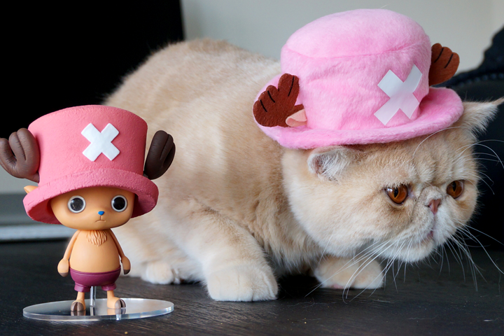 One Piece - Tony Tony Chopper - Creator×Creator (Banpresto) photo 2