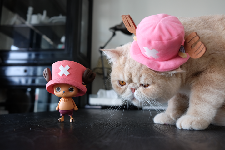 One Piece - Tony Tony Chopper - Creator×Creator (Banpresto) photo 4