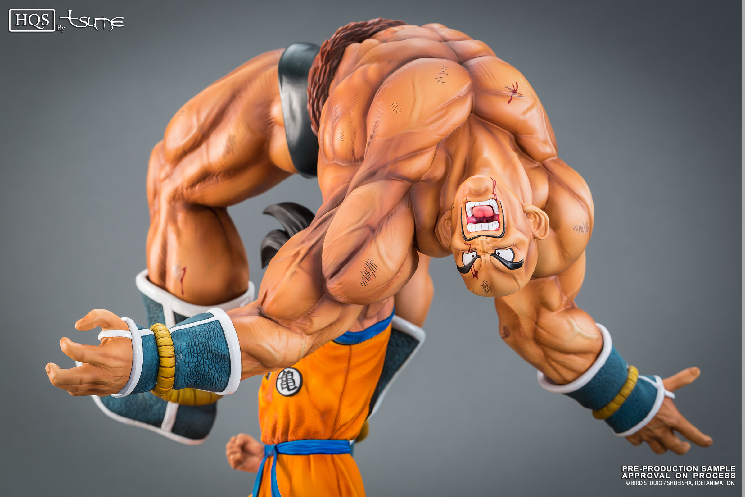 Dragon Ball Z - Nappa - Son Goku - HQS - The Quiet Wrath of Son Goku (Tsume) photo 5