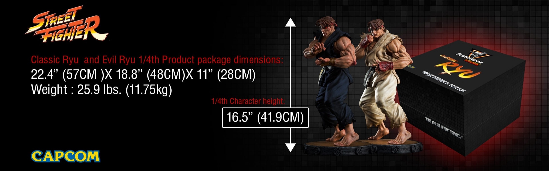 Street Fighter - Satsui no Hadou ni Mezameta Ryuu - Street Fighter Masterpiece Edition - 1/4 (PrototypeZ Studios) photo 4