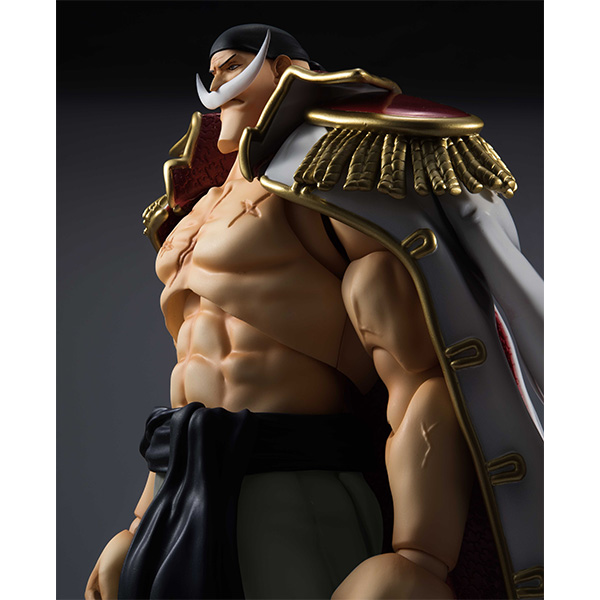 One Piece - Edward Newgate - Variable Action Heroes (MegaHouse) photo 7