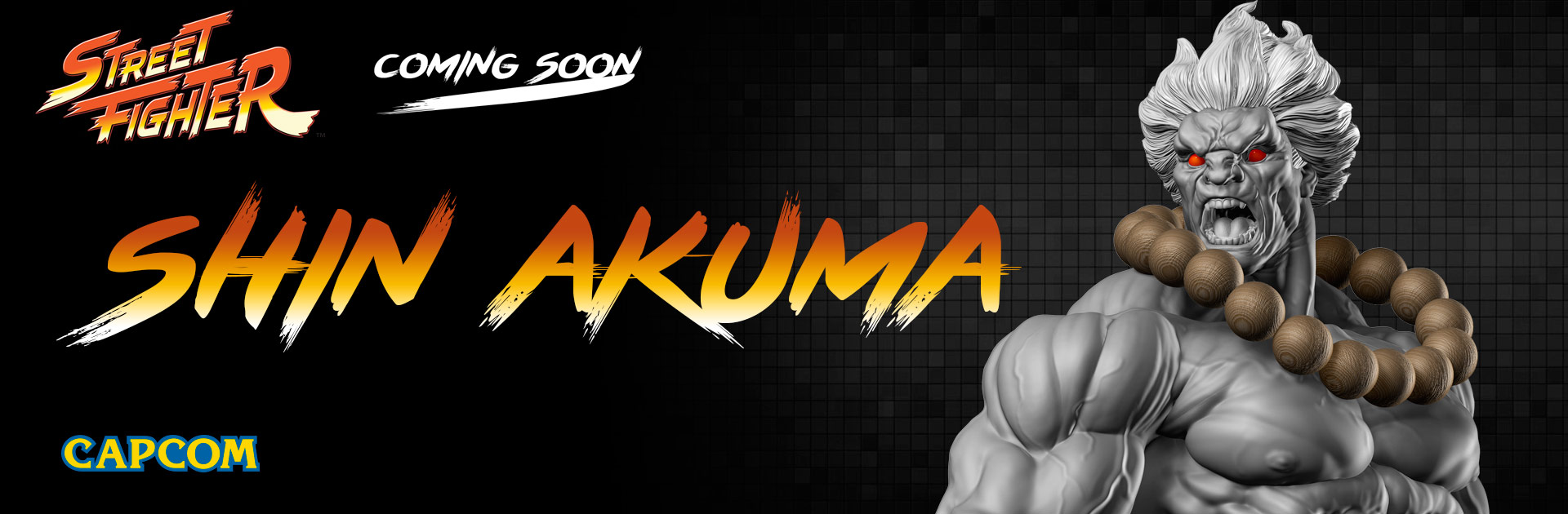 Street Fighter - Shin Gouki - 1/4 (PrototypeZ Studios) photo 2