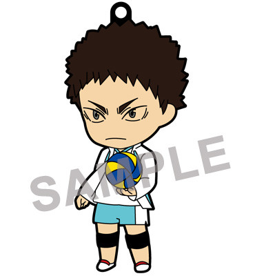 Haikyuu!! Karasuno Koukou VS Shiratorizawa Gakuen Koukou - Iwaizumi Hajime - Nendoroid  (#699) (Orange Rouge) photo 19