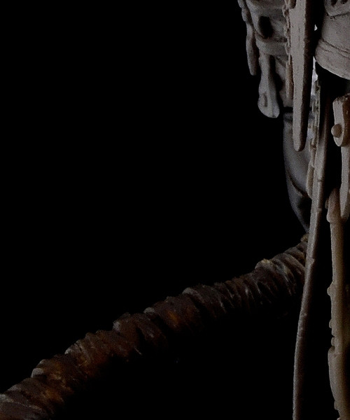 Bloodborne - Karyuudo - Shisha - Figma  (#367) (Max Factory) photo 5