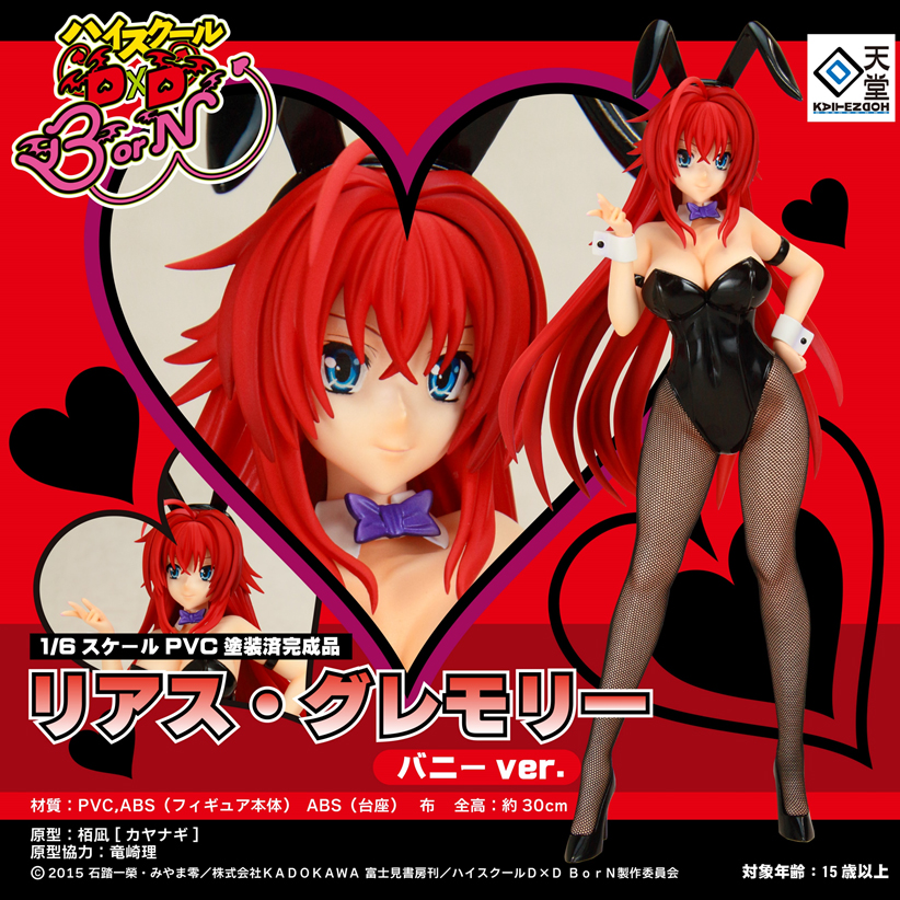 High School DxD Born - Rias Gremory - 1/6 - Bunny ver. (Kaitendoh) photo 6