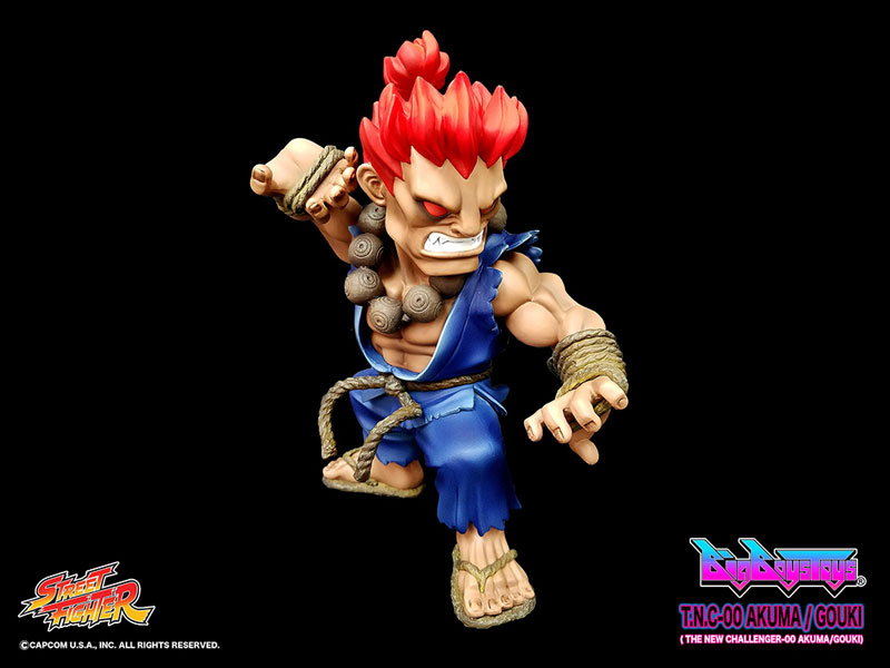 Street Fighter - Gouki - T.N.C  (00) (Big Boys Toys) photo 3