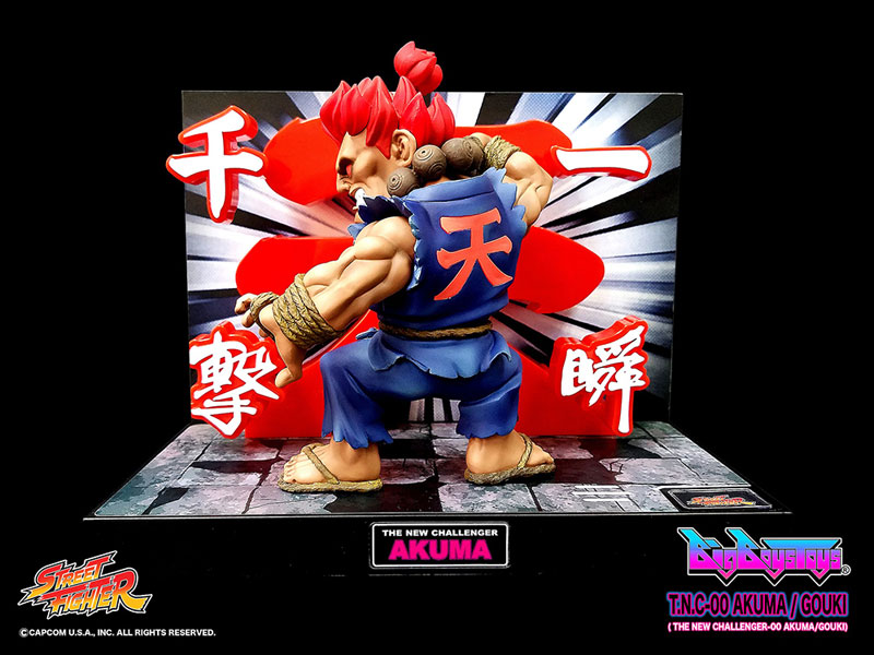Street Fighter - Gouki - T.N.C  (00) (Big Boys Toys) photo 8