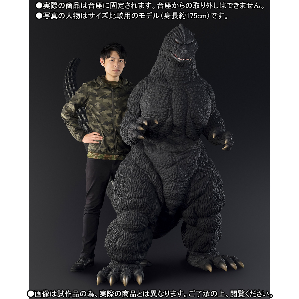Gojira vs. King Ghidorah - Gojira - 1991 Hokkaido ver. (Bandai) photo 7