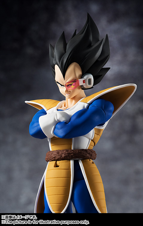 Dragon Ball Z - Vegeta - S.H.Figuarts (Bandai, Bandai Spirits) photo 8