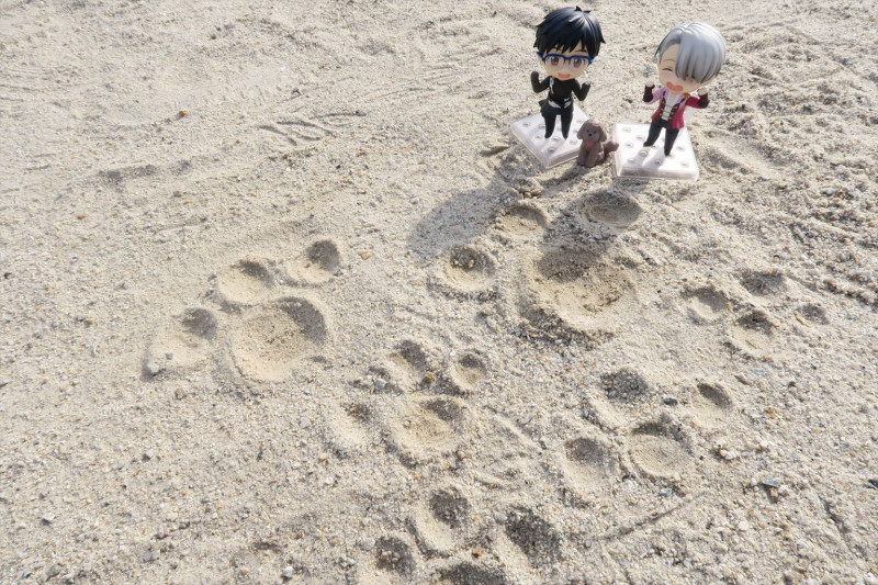 Yuri!!! on Ice - Katsuki Yuuri - Nendoroid (#736) (Orange Rouge) photo 28