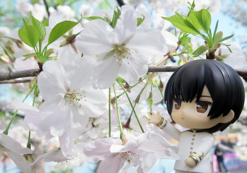 Hetalia The World Twinkle - Japan - Pochi-kun - Nendoroid  (#753) (Orange Rouge) photo 6