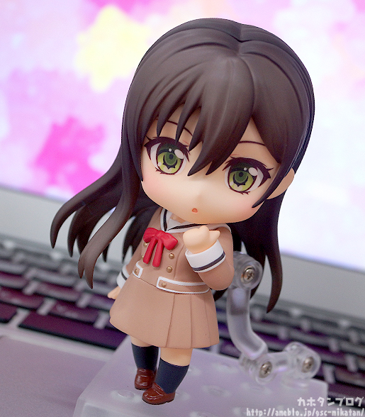 BanG Dream! - Hanazono Tae - Nendoroid (#773) (Good Smile Company) photo 16
