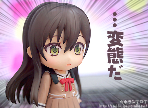 BanG Dream! - Hanazono Tae - Nendoroid (#773) (Good Smile Company) photo 19