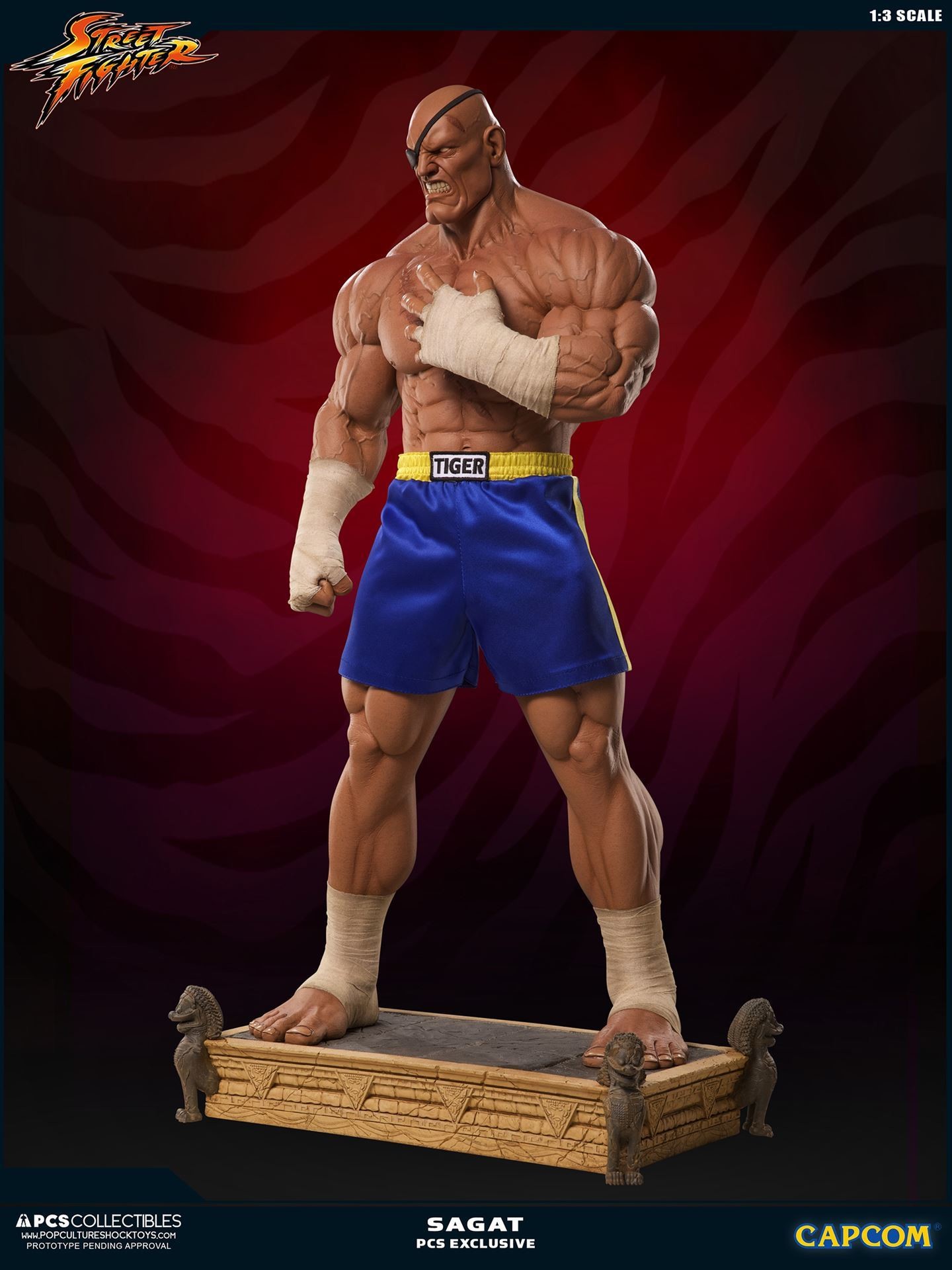 Street Fighter II - Sagat - Mixed Media - 1/3 (Premium Collectibles Studio) photo 2
