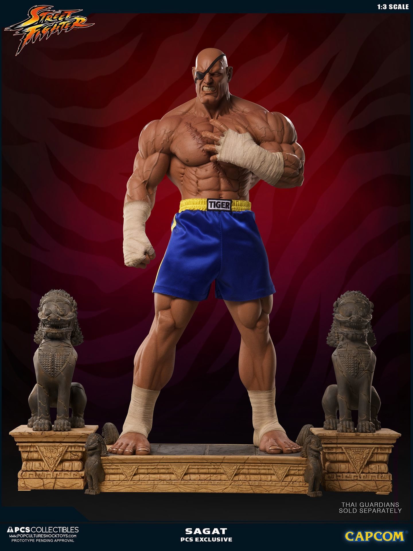 Street Fighter II - Sagat - Mixed Media - 1/3 (Premium Collectibles Studio) photo 3