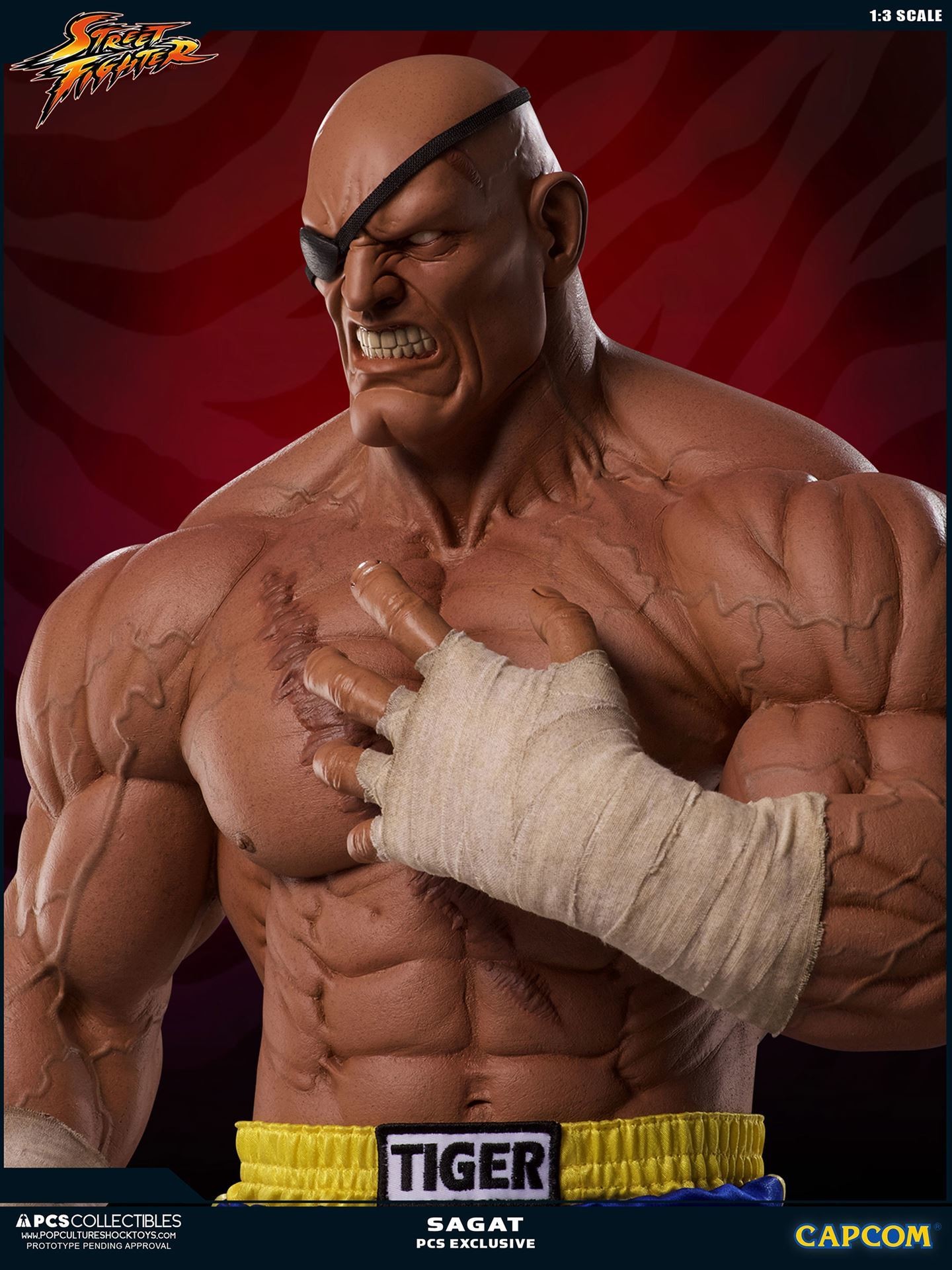 Street Fighter II - Sagat - Mixed Media - 1/3 (Premium Collectibles Studio) photo 4