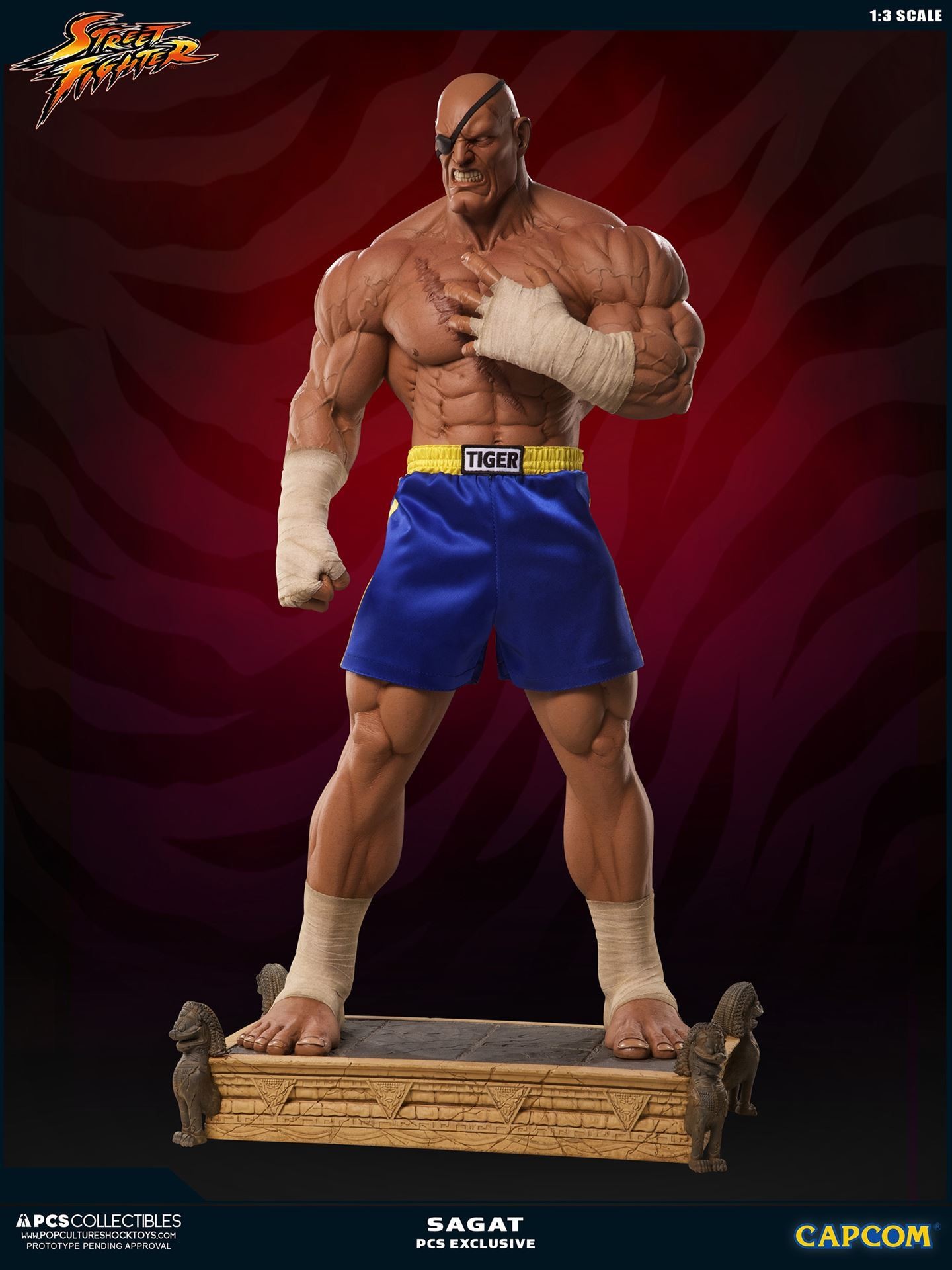 Street Fighter II - Sagat - Mixed Media - 1/3 (Premium Collectibles Studio) photo 5