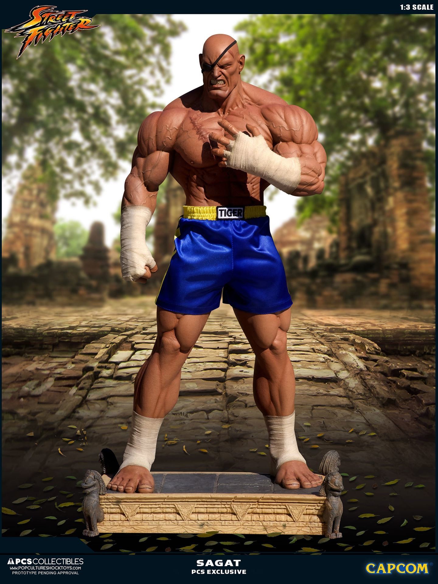 Street Fighter II - Sagat - Mixed Media - 1/3 (Premium Collectibles Studio) photo 6