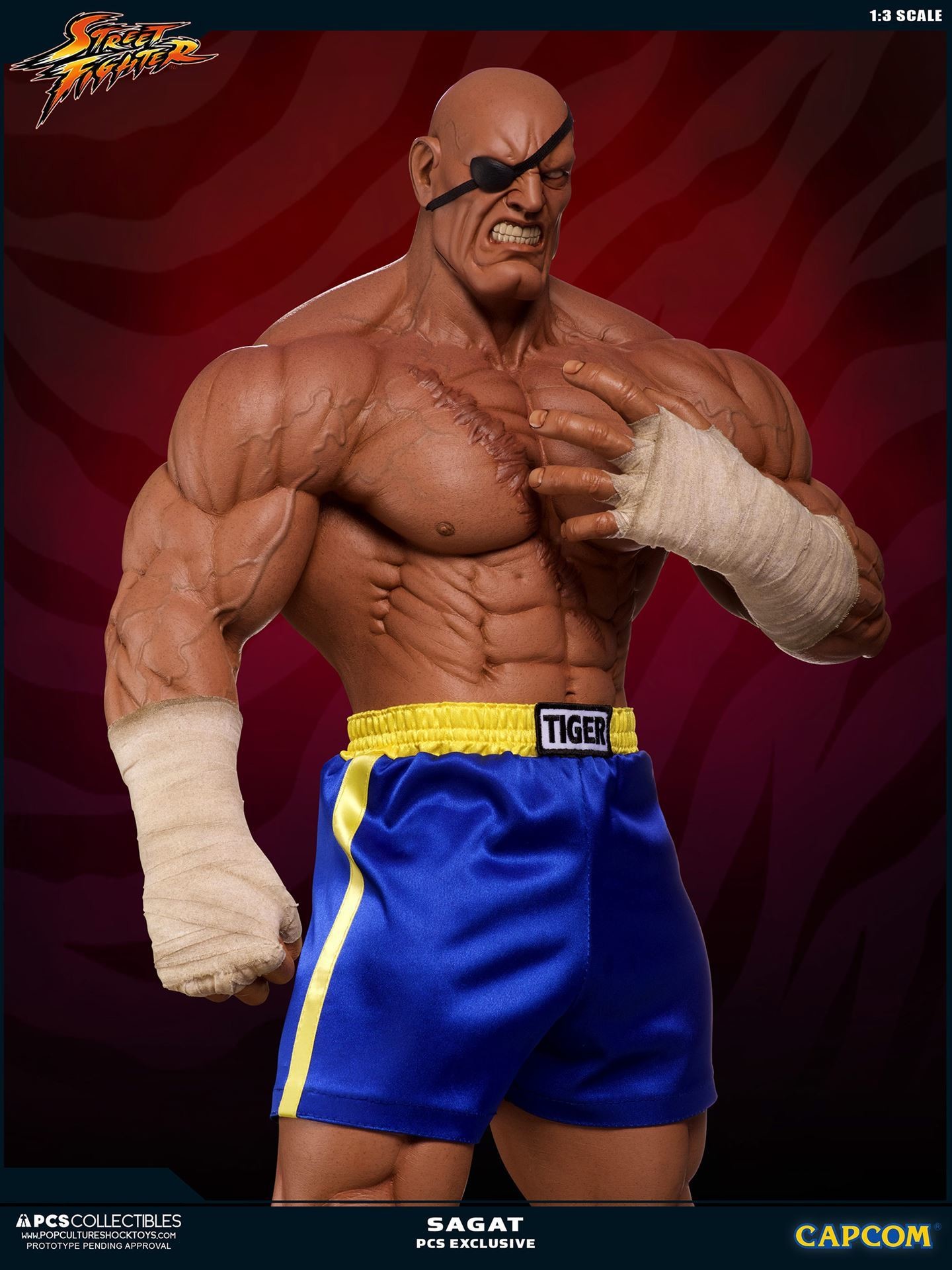 Street Fighter II - Sagat - Mixed Media - 1/3 (Premium Collectibles Studio) photo 10