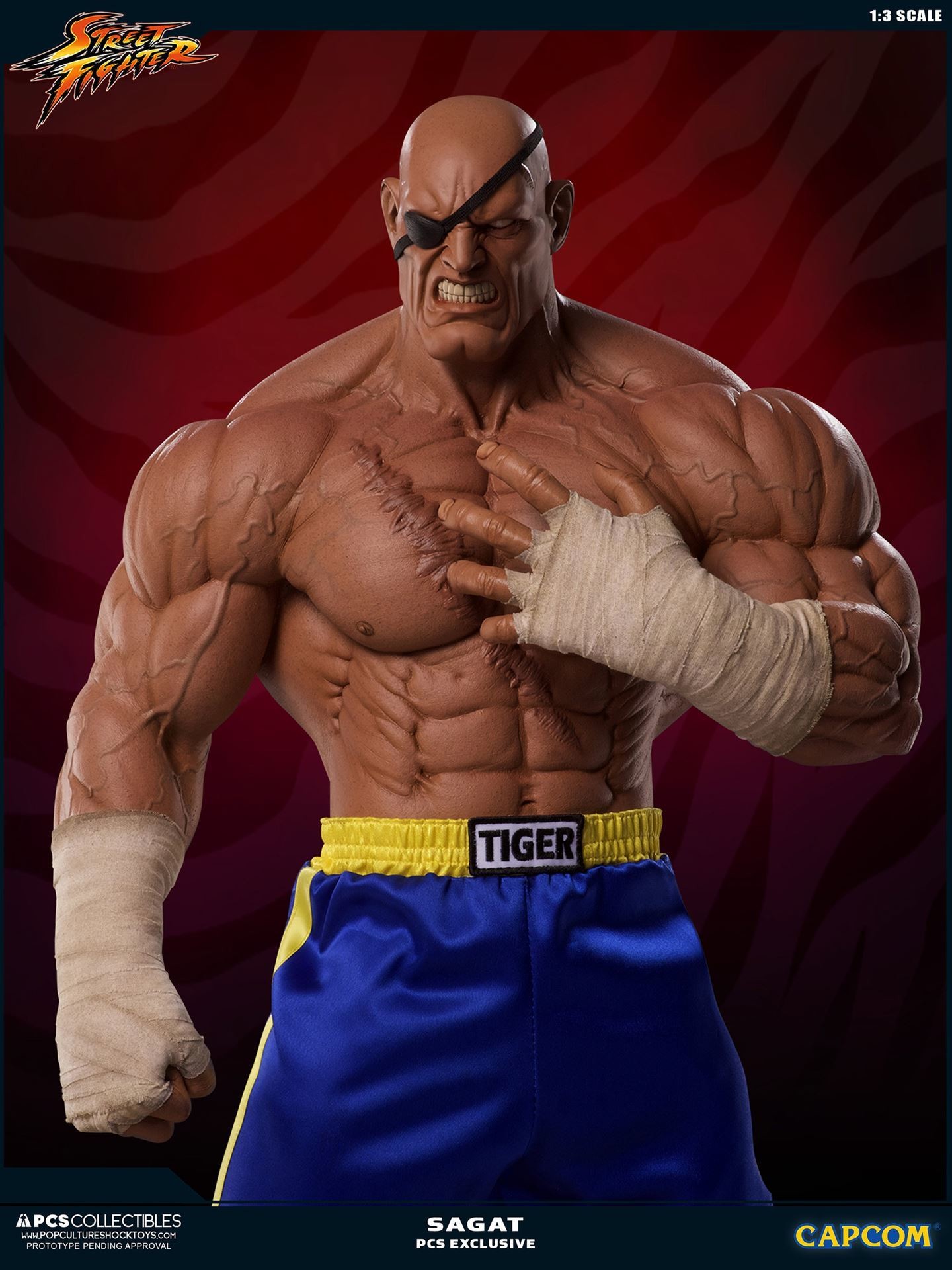 Street Fighter II - Sagat - Mixed Media - 1/3 (Premium Collectibles Studio) photo 11