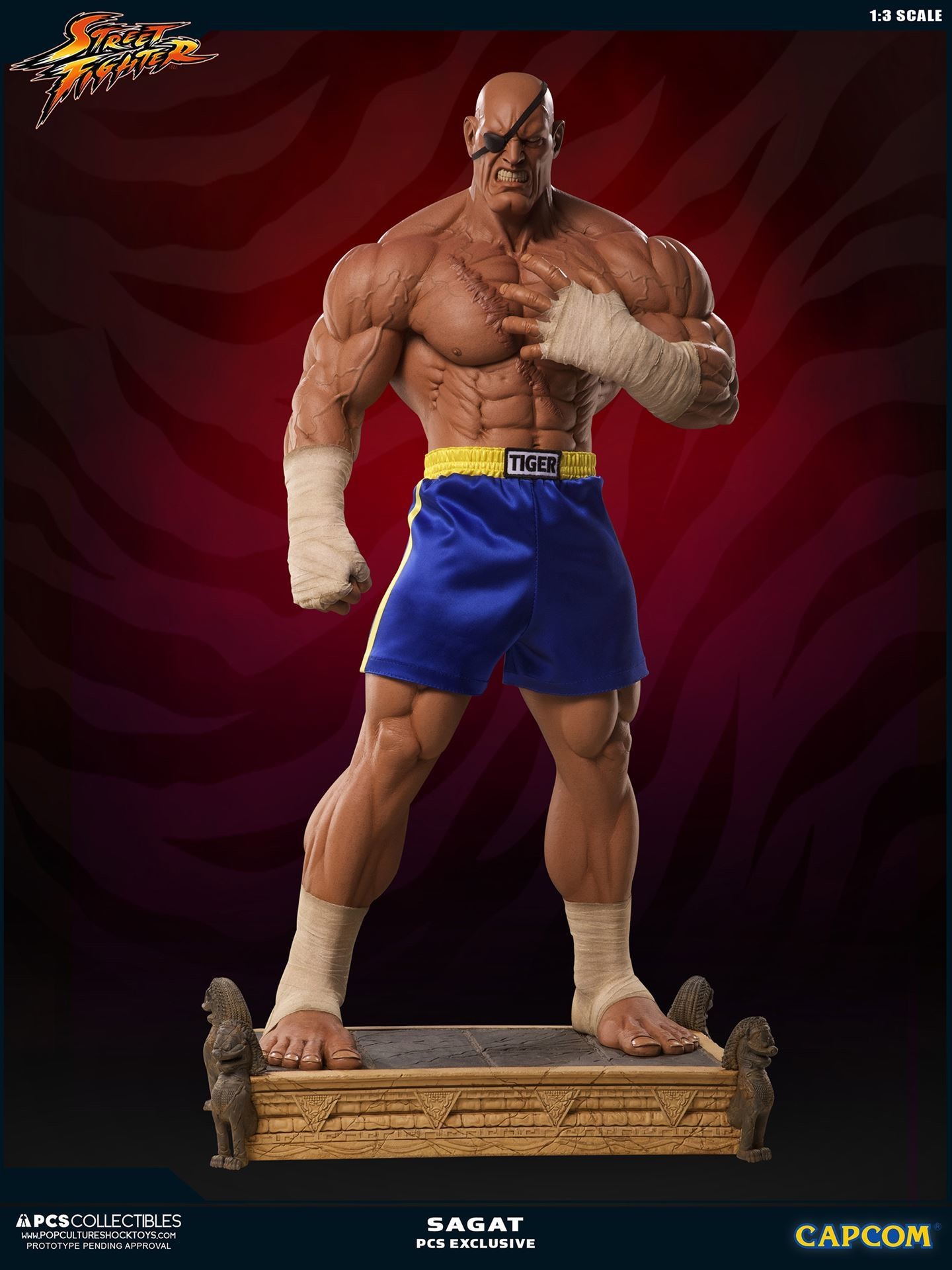 Street Fighter II - Sagat - Mixed Media - 1/3 (Premium Collectibles Studio) photo 12