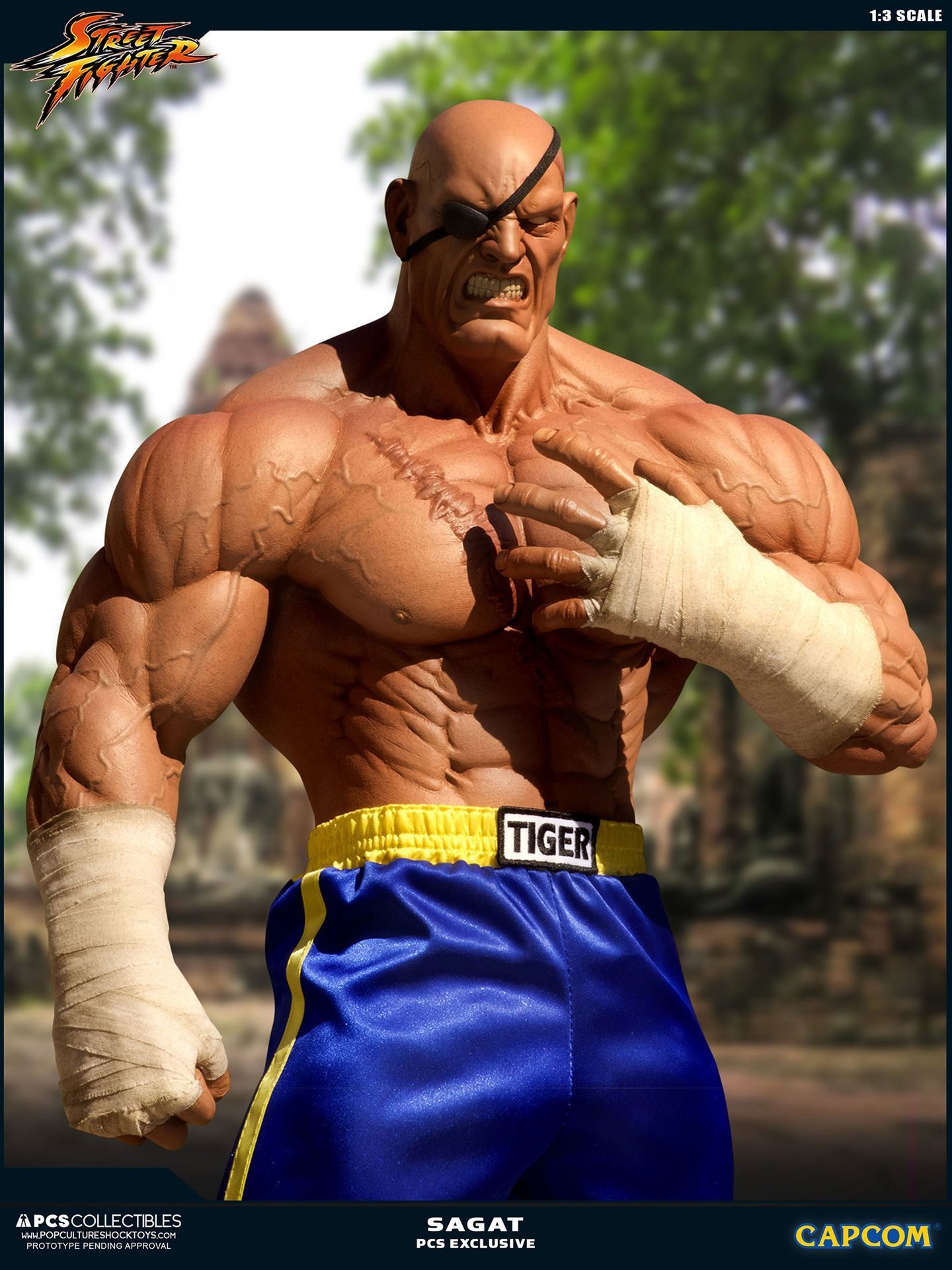 Street Fighter II - Sagat - Mixed Media - 1/3 (Premium Collectibles Studio) photo 14