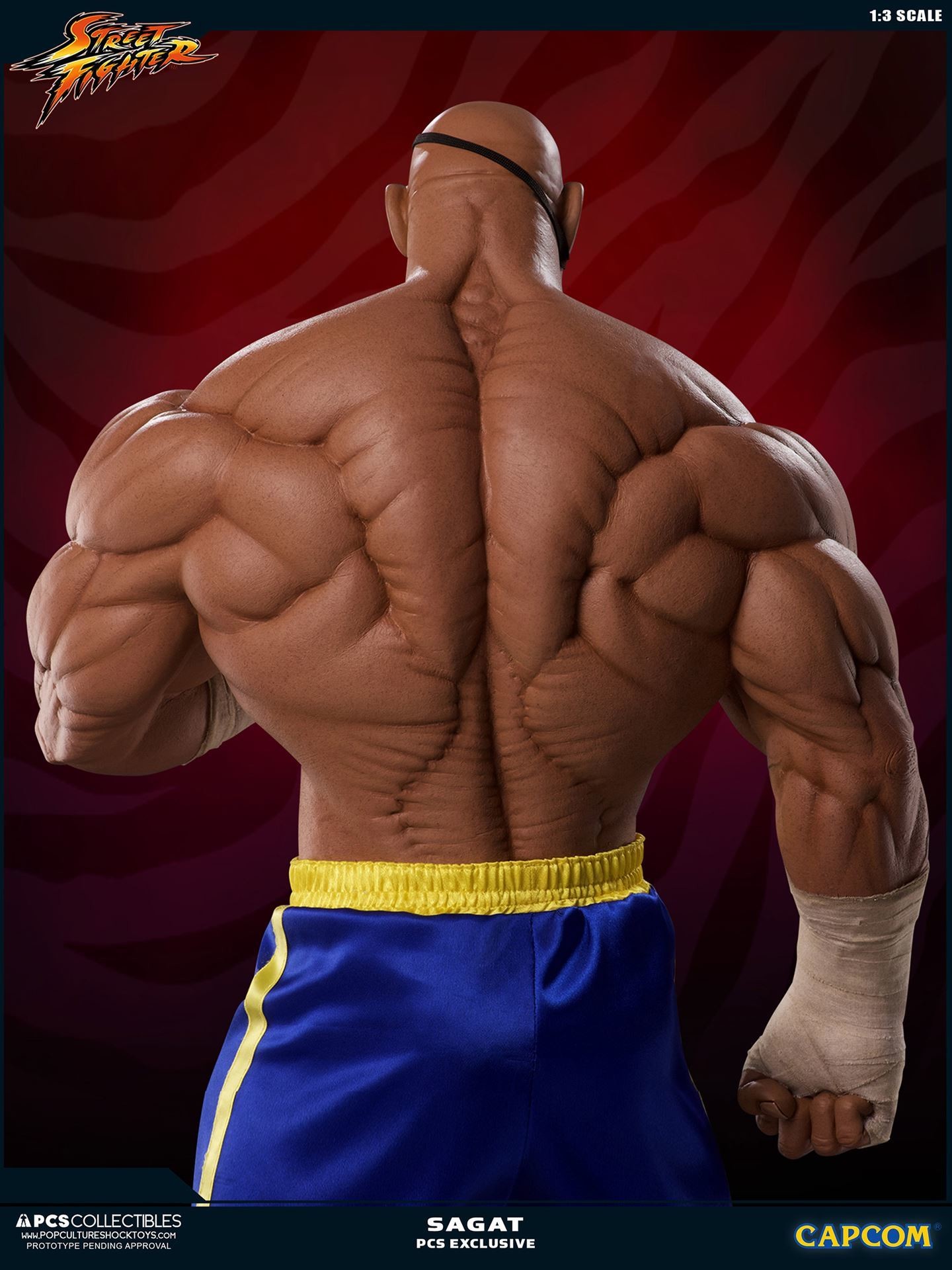 Street Fighter II - Sagat - Mixed Media - 1/3 (Premium Collectibles Studio) photo 15