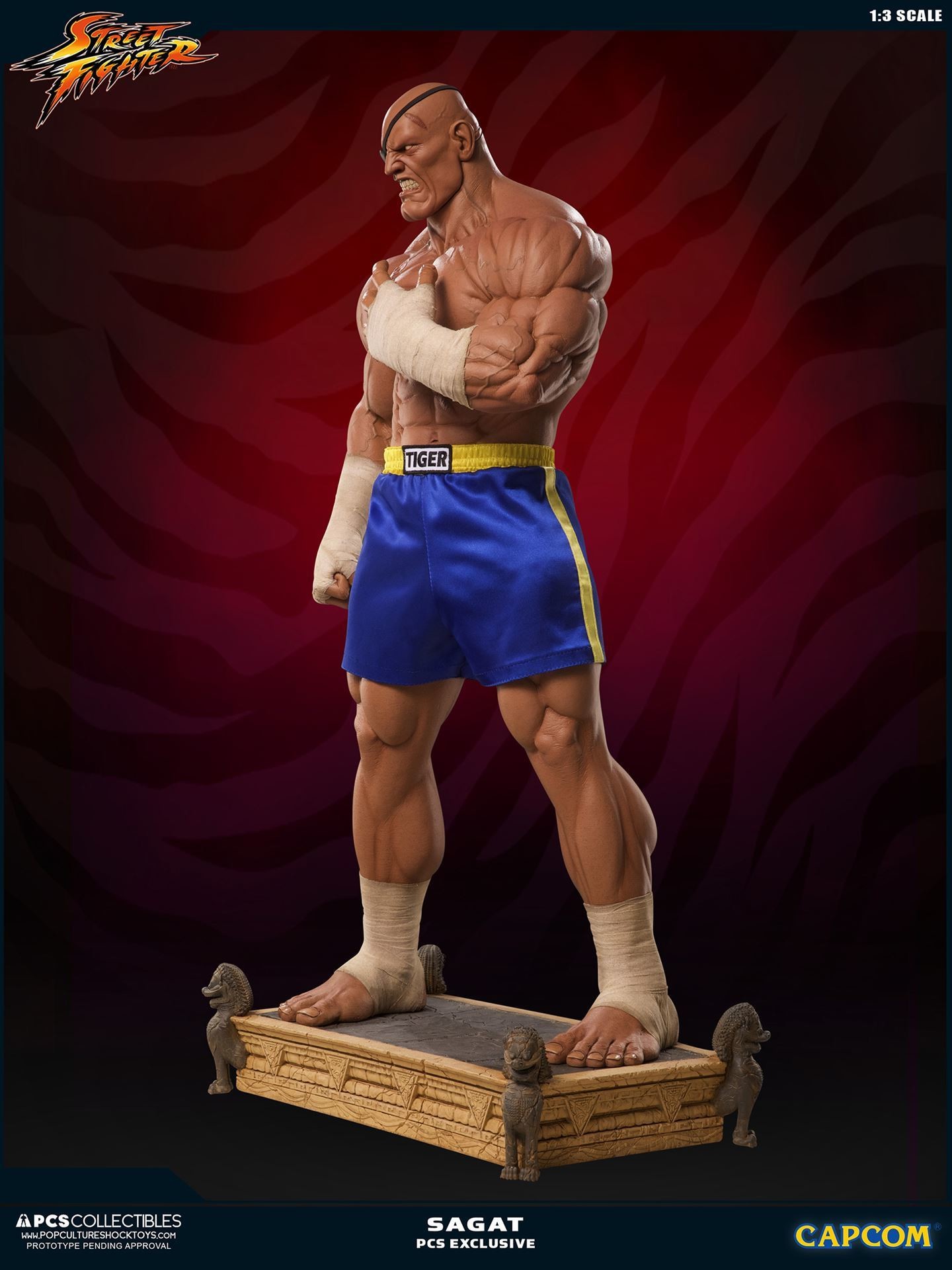 Street Fighter II - Sagat - Mixed Media - 1/3 (Premium Collectibles Studio) photo 17
