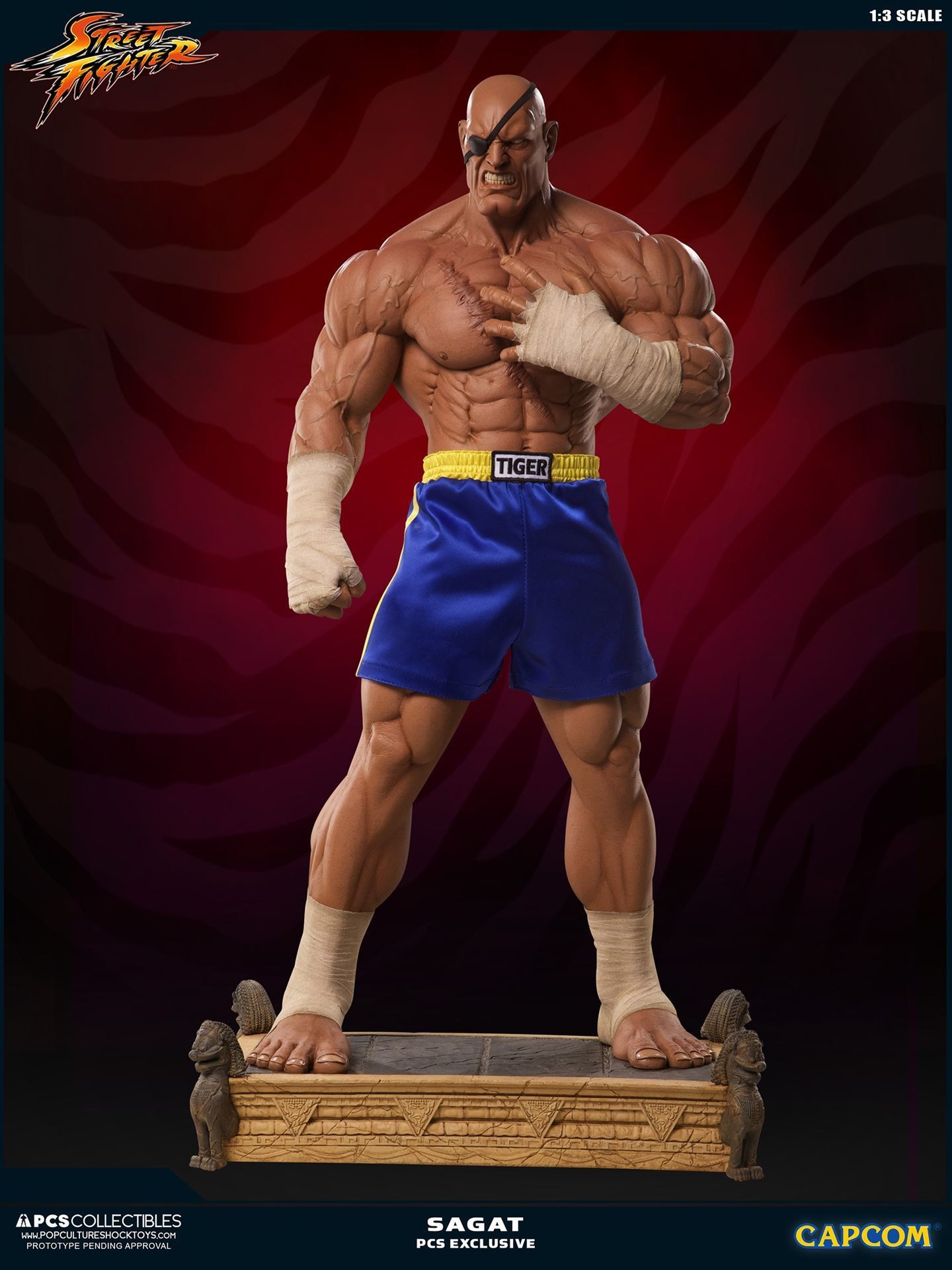 Street Fighter II - Sagat - Mixed Media - 1/3 (Premium Collectibles Studio) photo 18