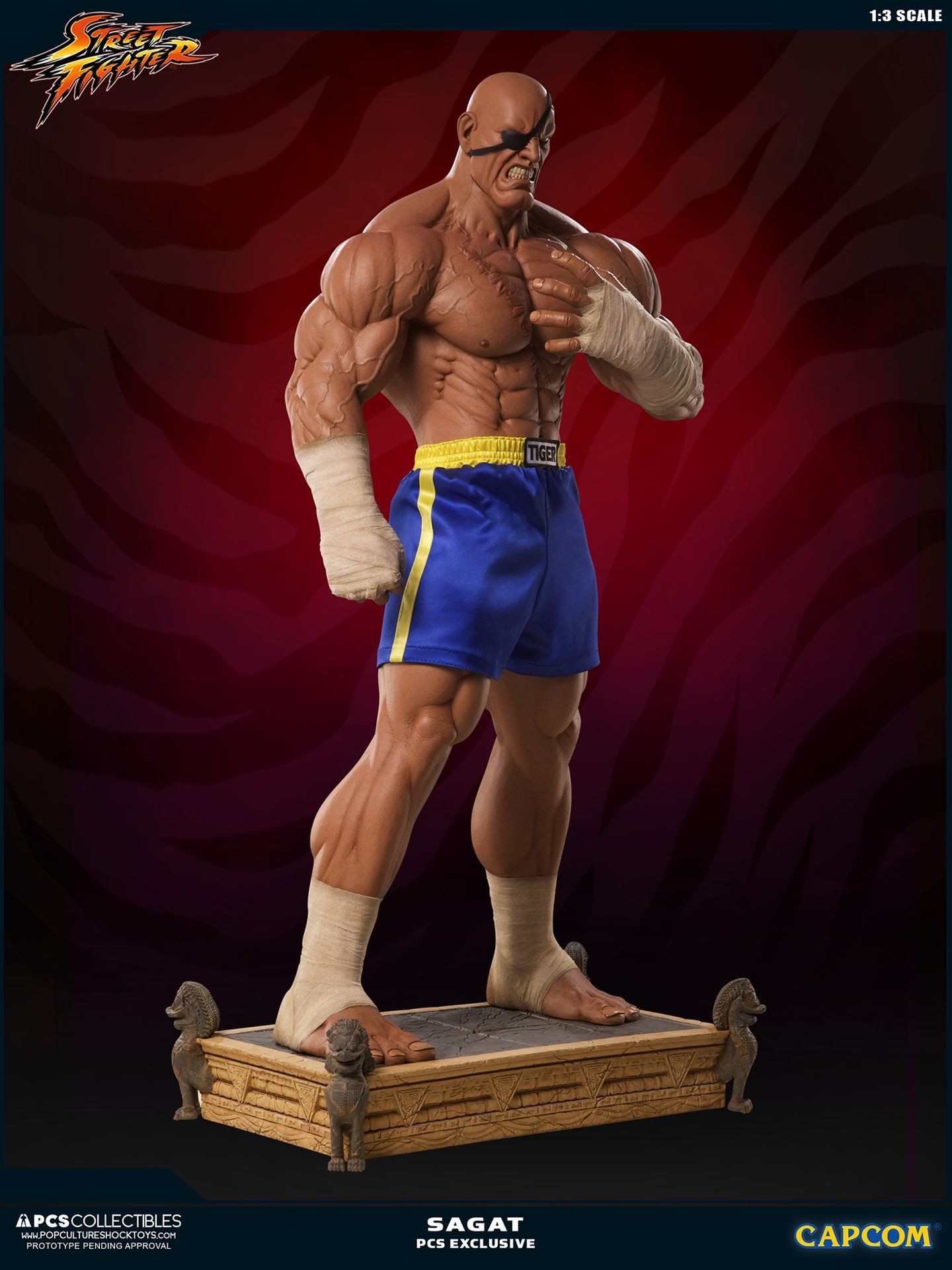 Street Fighter II - Sagat - Mixed Media - 1/3 (Premium Collectibles Studio) photo 19