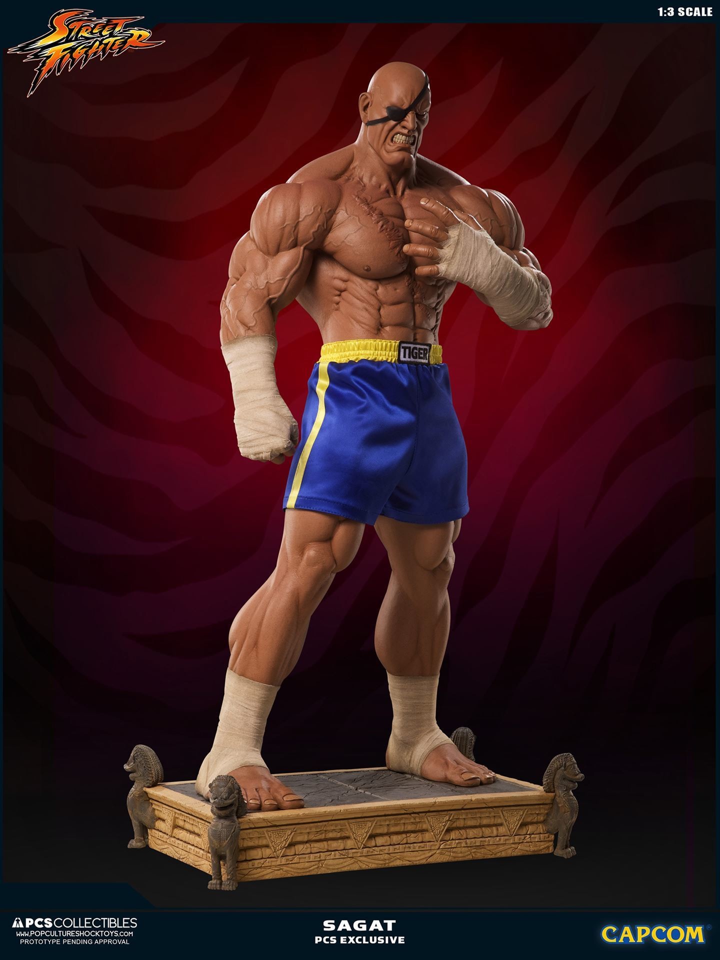 Street Fighter II - Sagat - Mixed Media - 1/3 (Premium Collectibles Studio) photo 20