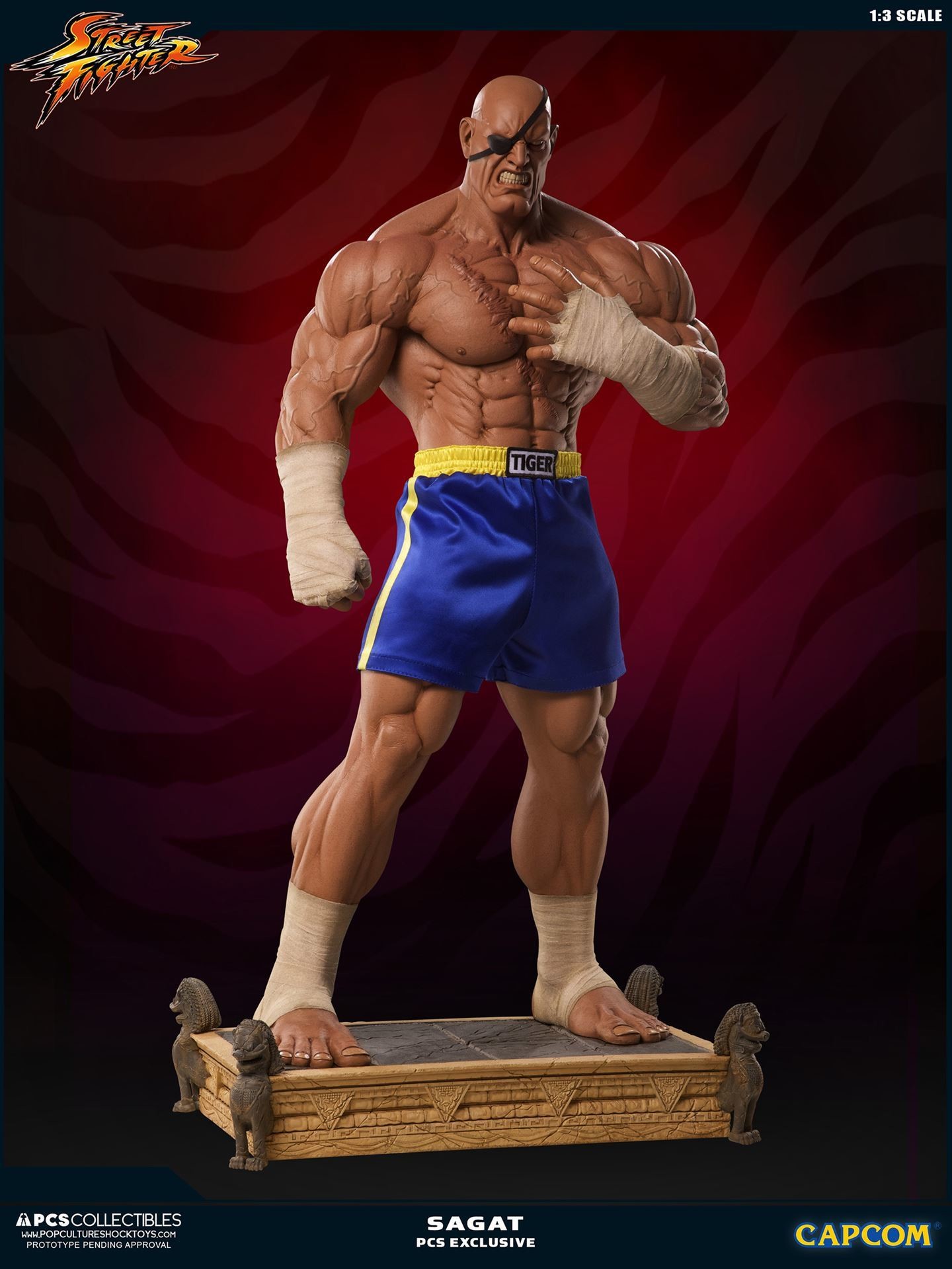 Street Fighter II - Sagat - Mixed Media - 1/3 (Premium Collectibles Studio) photo 21