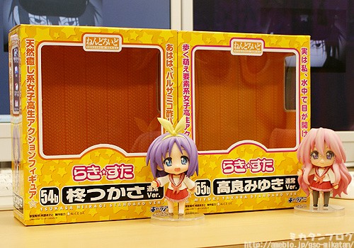Lucky☆Star - Hiiragi Tsukasa - Nendoroid  (#054b) - Standard ver. (Good Smile Company) photo 14