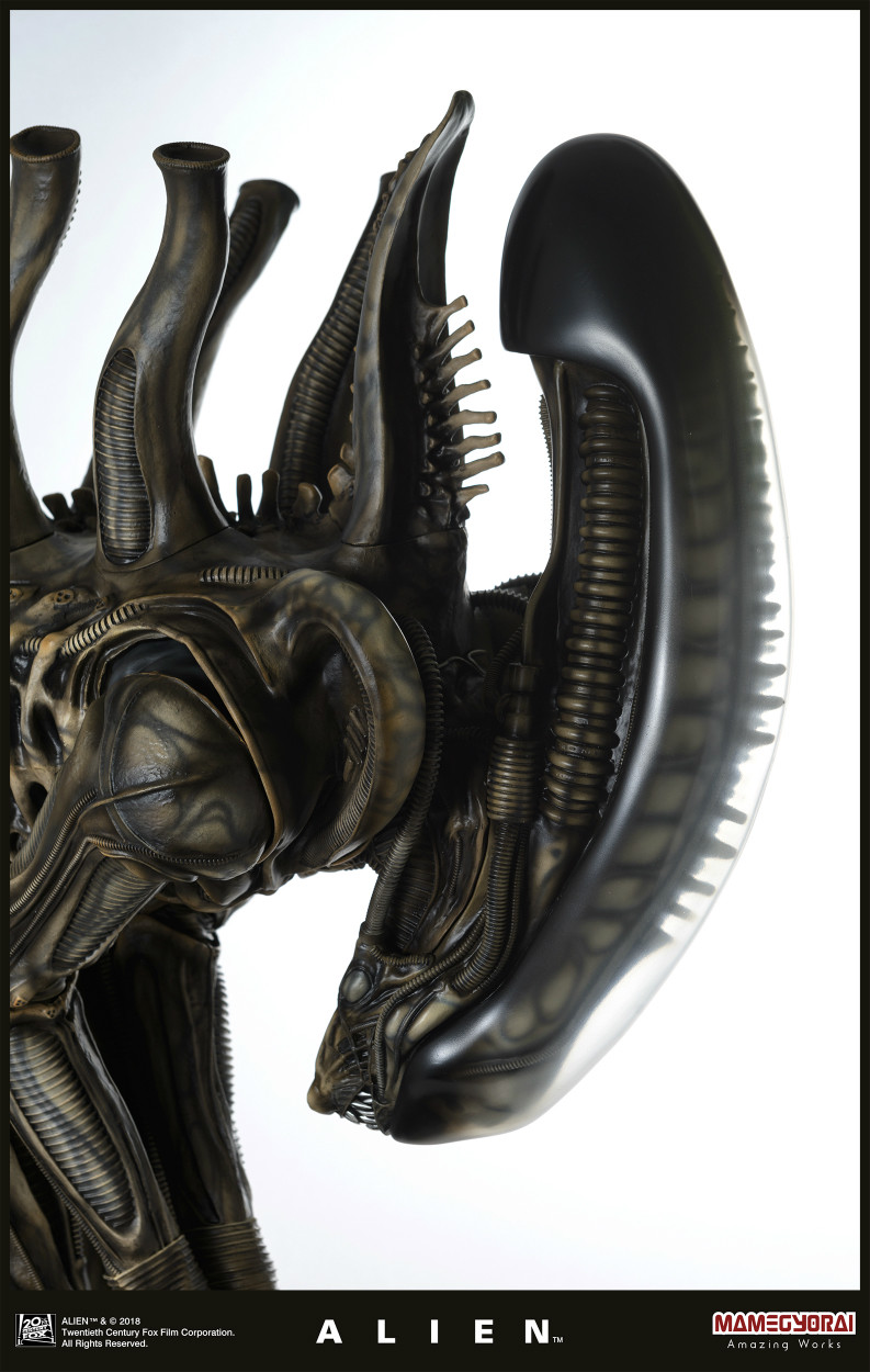 Alien - 1/3 (Mamegyorai) photo 3