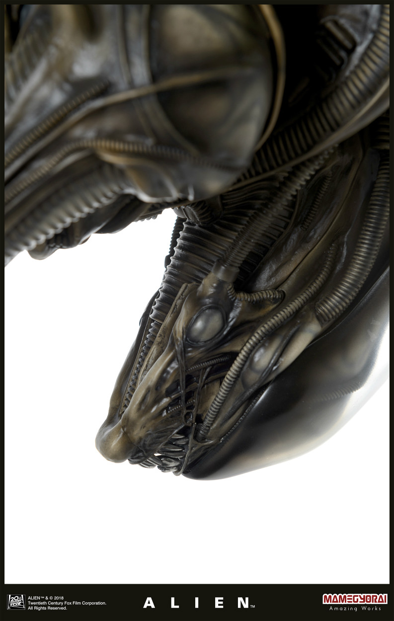 Alien - 1/3 (Mamegyorai) photo 4