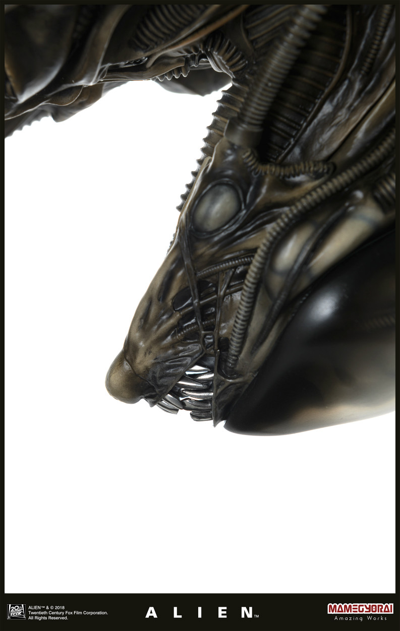 Alien - 1/3 (Mamegyorai) photo 6