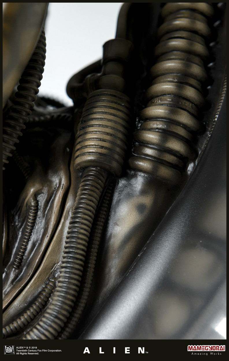 Alien - 1/3 (Mamegyorai) photo 8