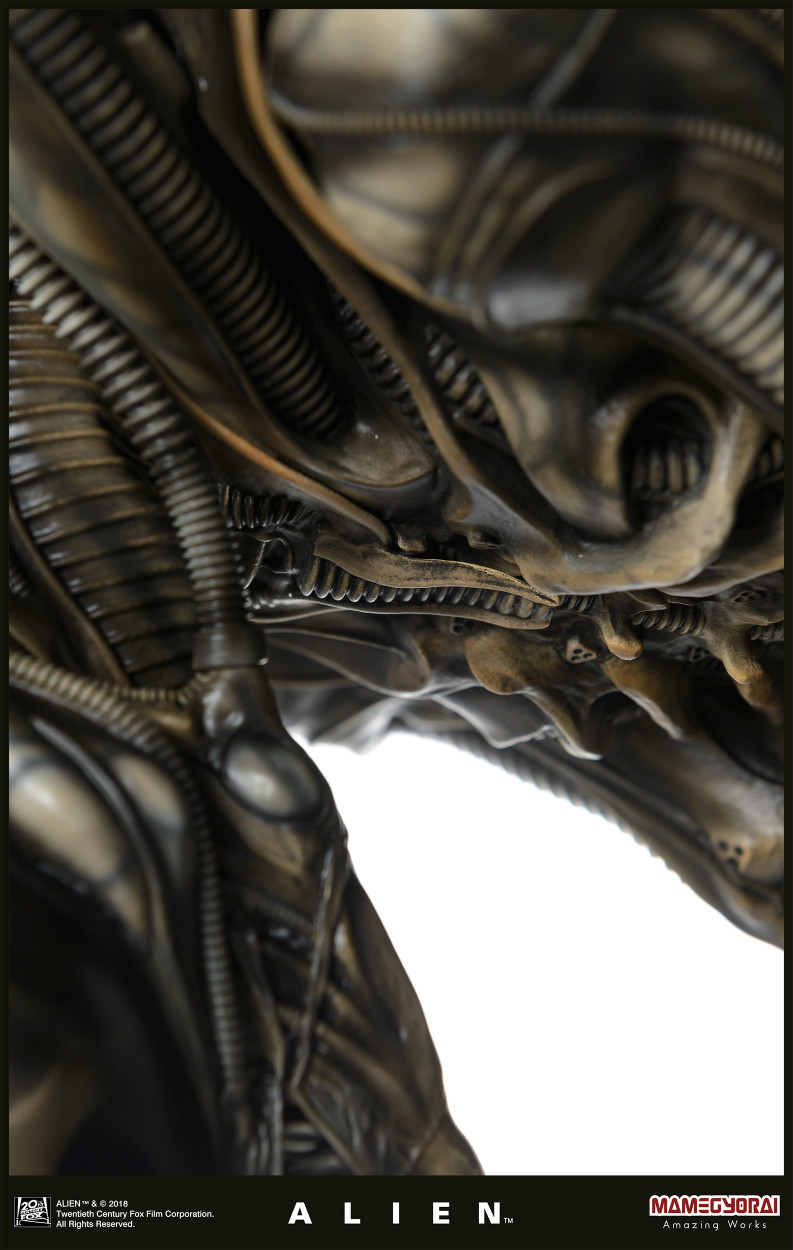 Alien - 1/3 (Mamegyorai) photo 9