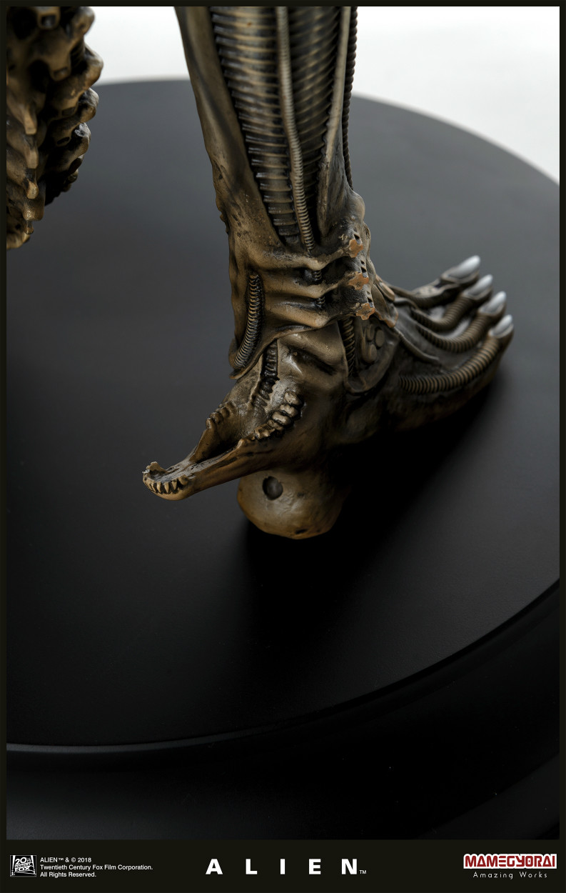 Alien - 1/3 (Mamegyorai) photo 11