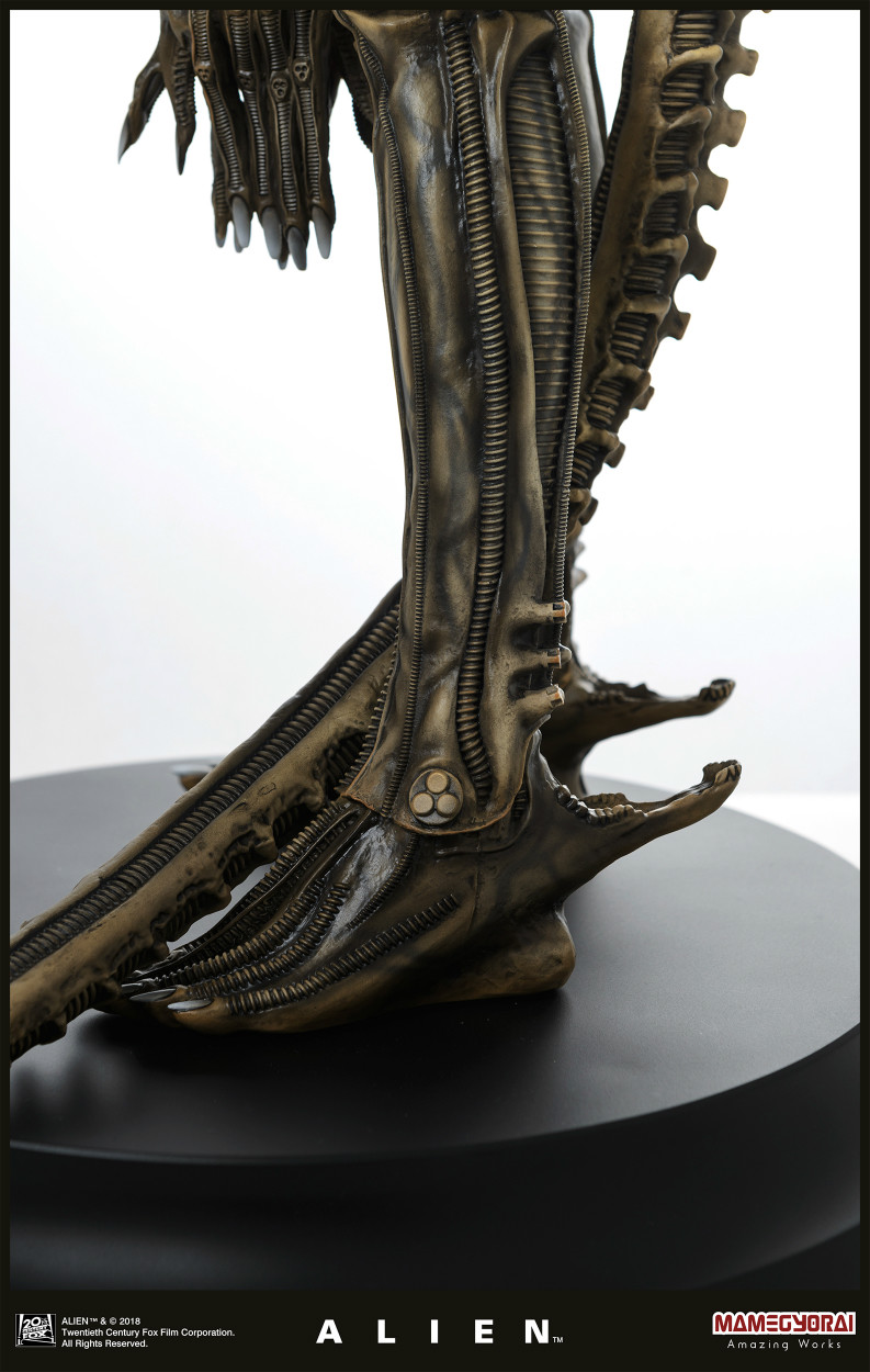 Alien - 1/3 (Mamegyorai) photo 12