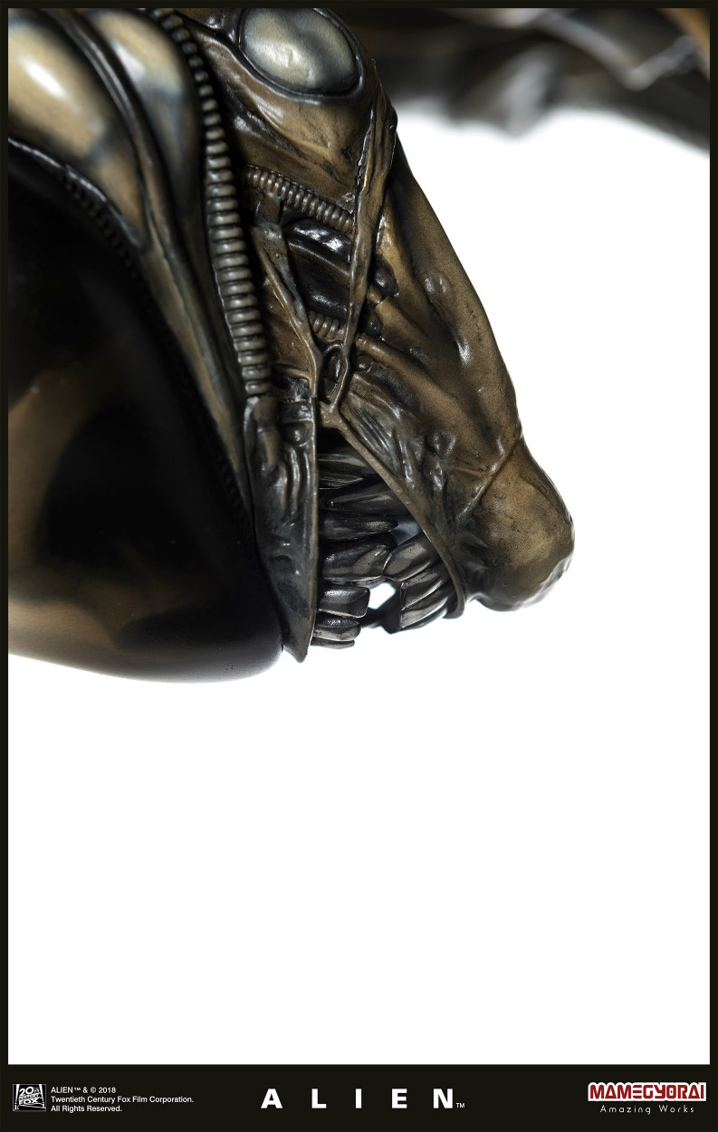 Alien - 1/3 (Mamegyorai) photo 13